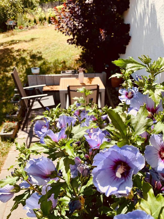 Ferienwohnung „Hygge“ In Liebenburg Kültér fotó